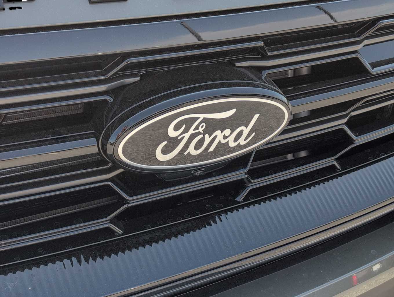 2025 Ford Expedition Platinum photo 3