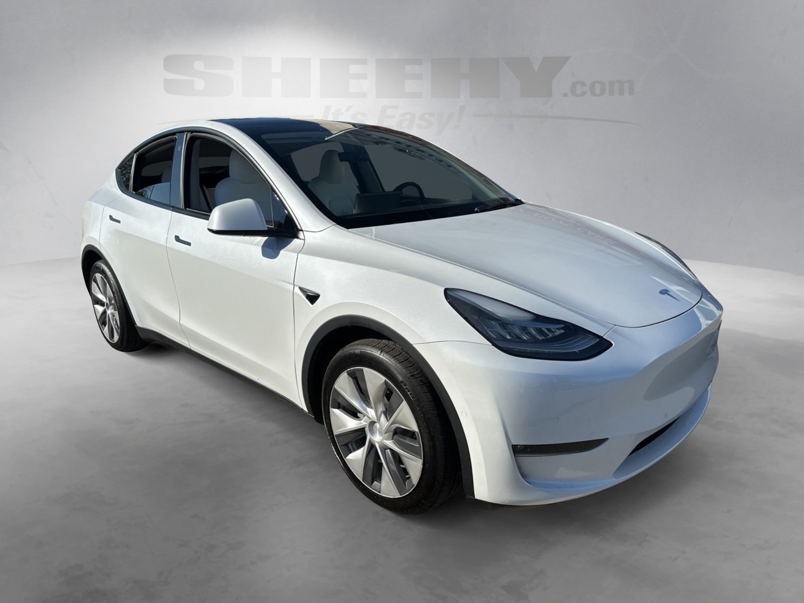 Used 2021 Tesla Model Y Long Range with VIN 5YJYGDEE4MF250939 for sale in Northfield, Minnesota