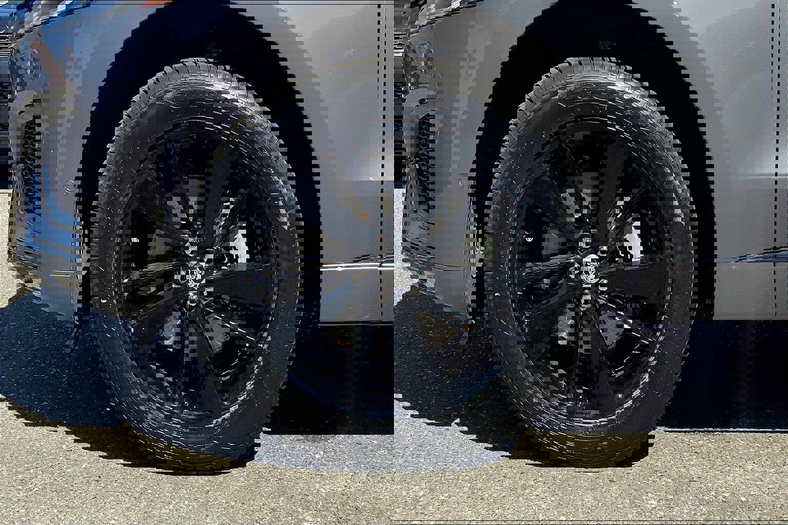 2024 Jaguar F-PACE P250 R-Dynamic S photo 9