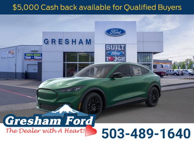 2025 Ford Mustang Mach-E Select RWD's photo