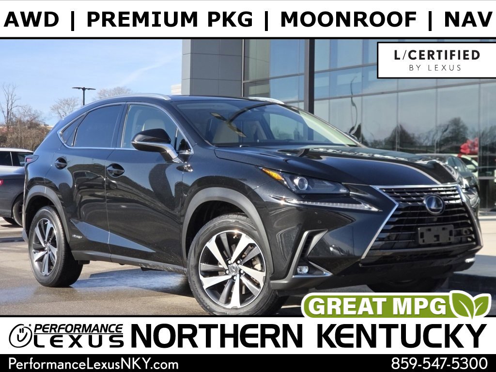 2020 Lexus NX Hybrid 300h's photo