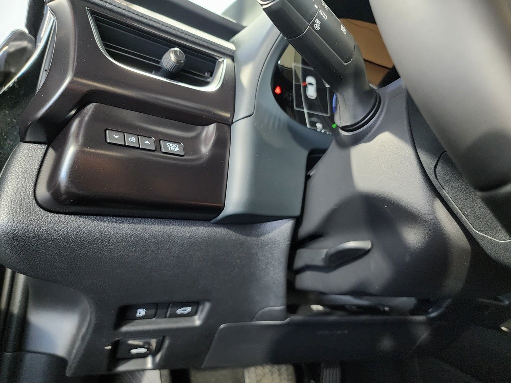 2025 Lexus UX photo 12