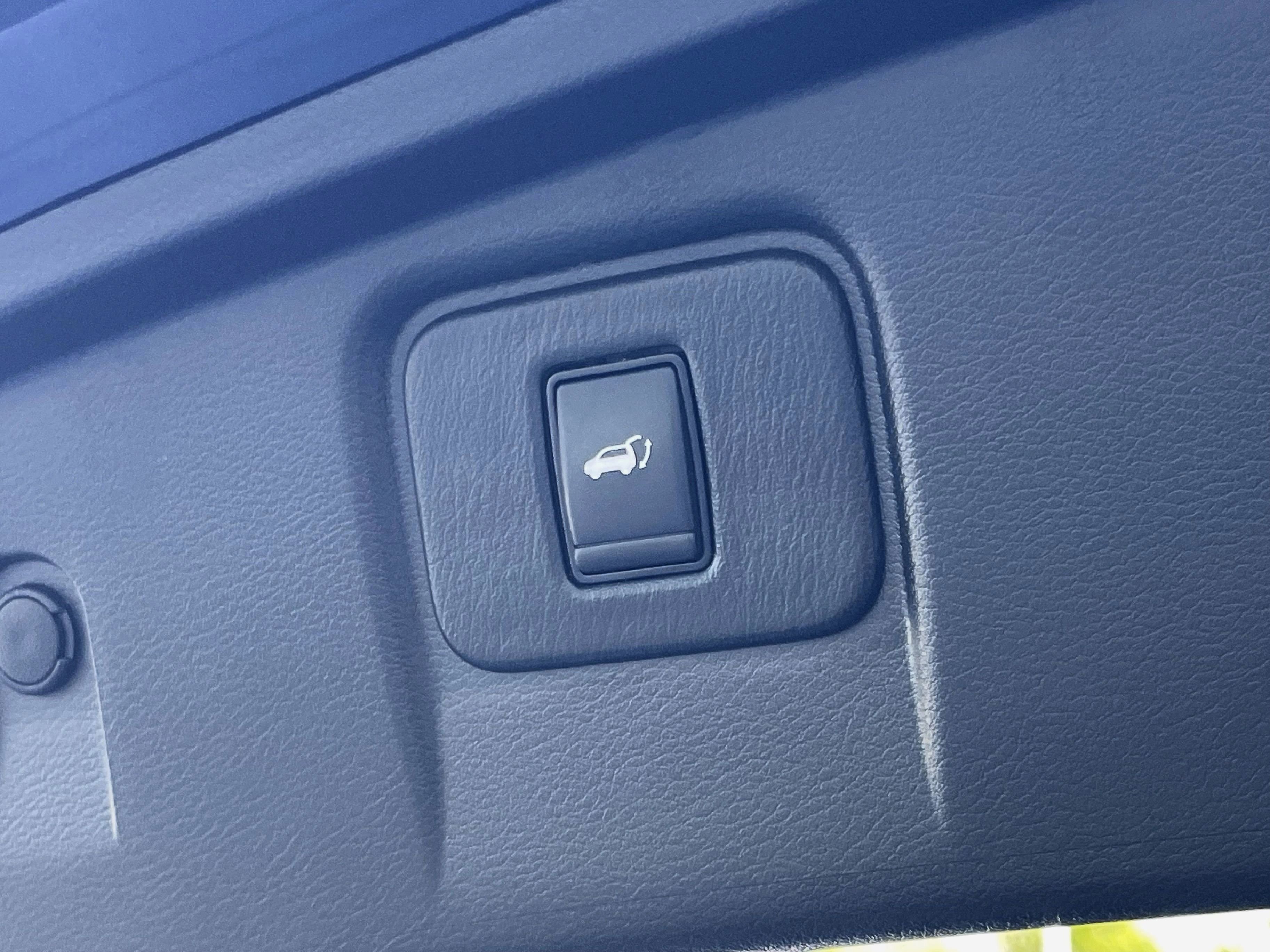 2020 Nissan Murano Platinum photo 6