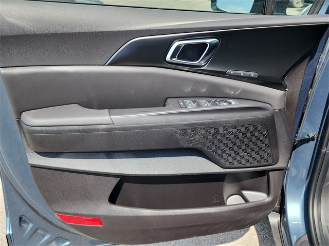 2026 Kia Carnival SX photo 9