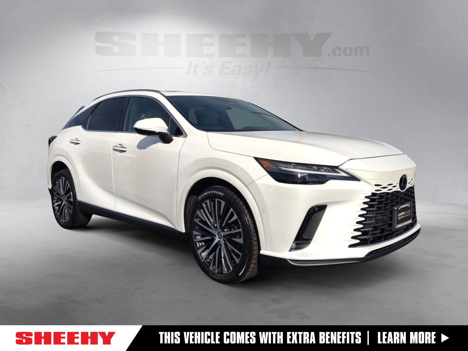 2024 Lexus RX 350's photo