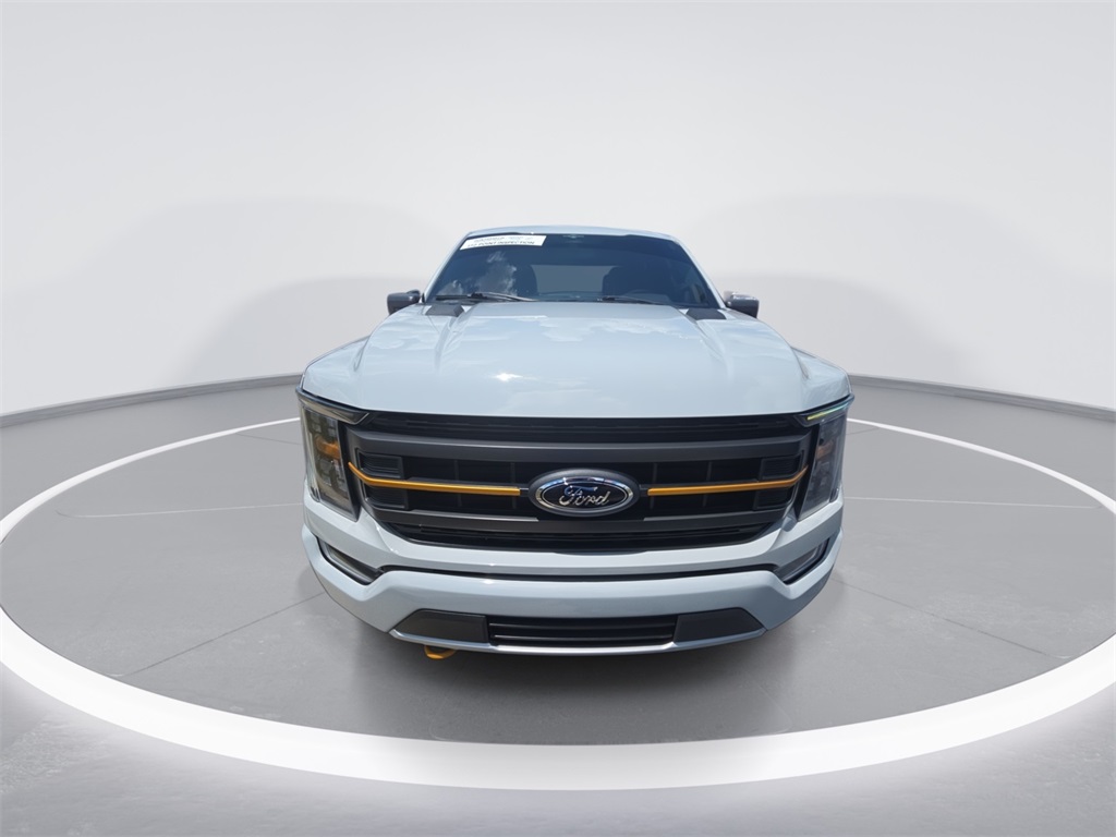 2023 Ford F-150 Tremor photo 3