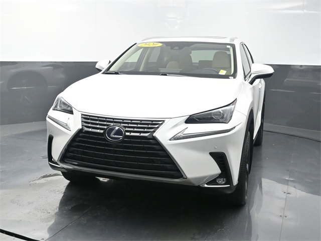 2020 Lexus NX Hybrid 300h's photo