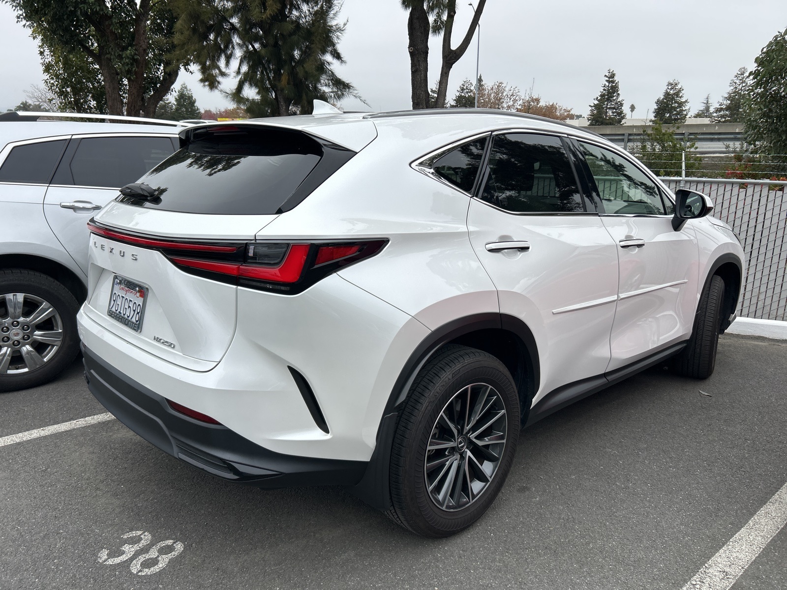 2024 Lexus NX 250 photo 3