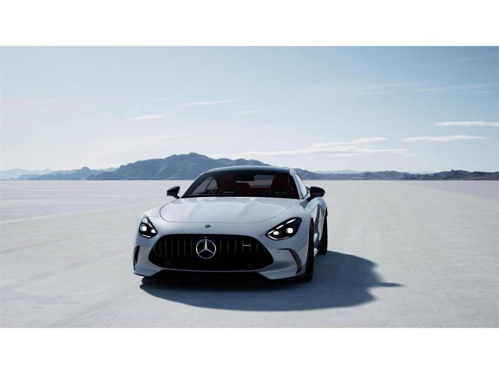 2025 Mercedes Benz AMG GT photo 40
