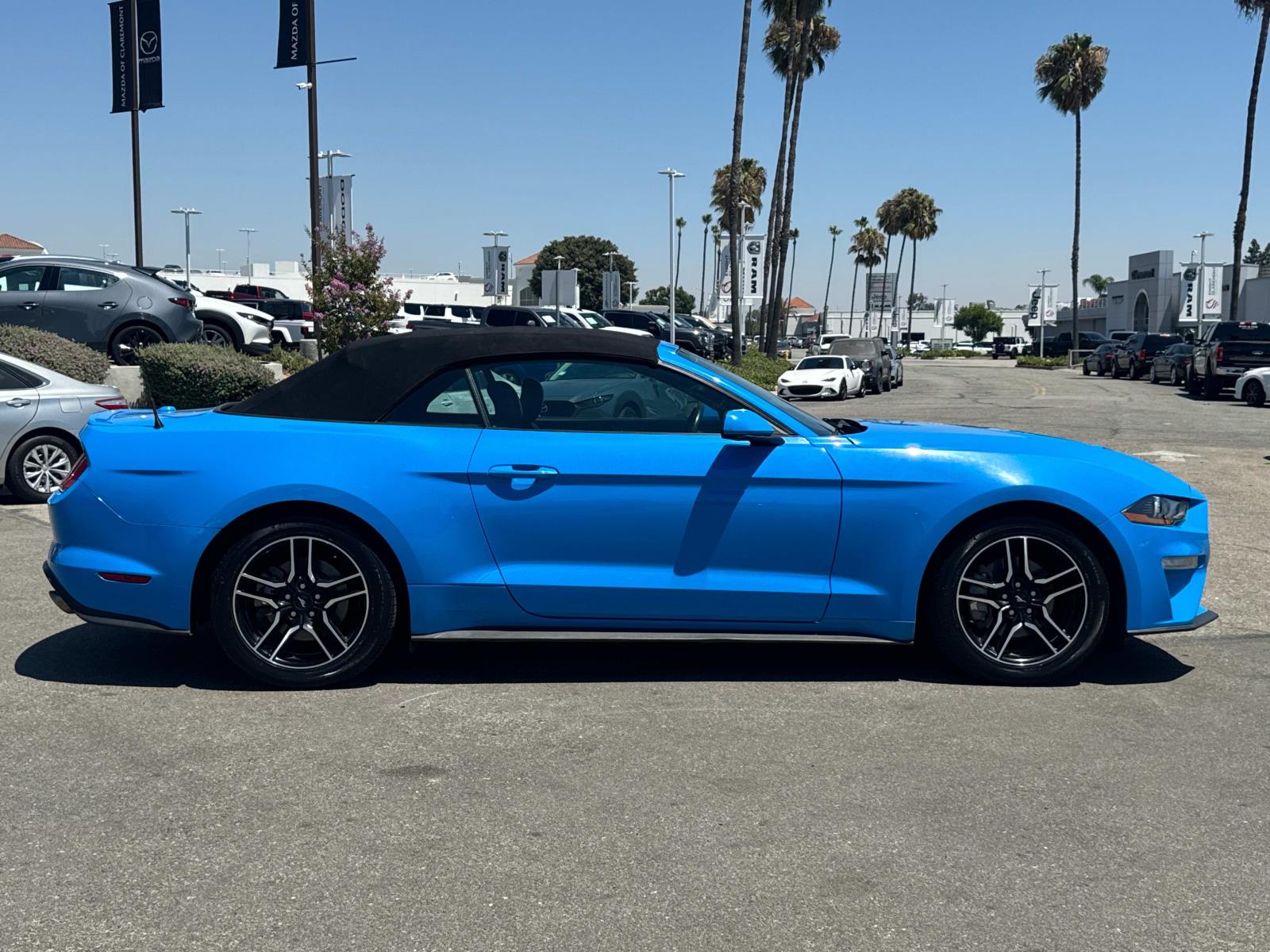 2022 Ford Mustang EcoBoost Premium photo 3