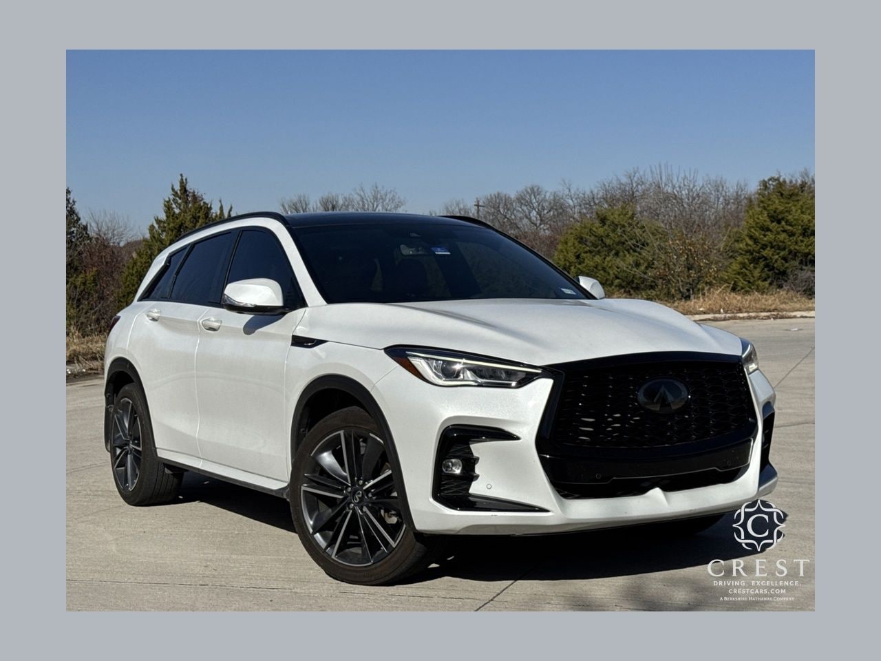 2023 INFINITI QX50 Sport's photo