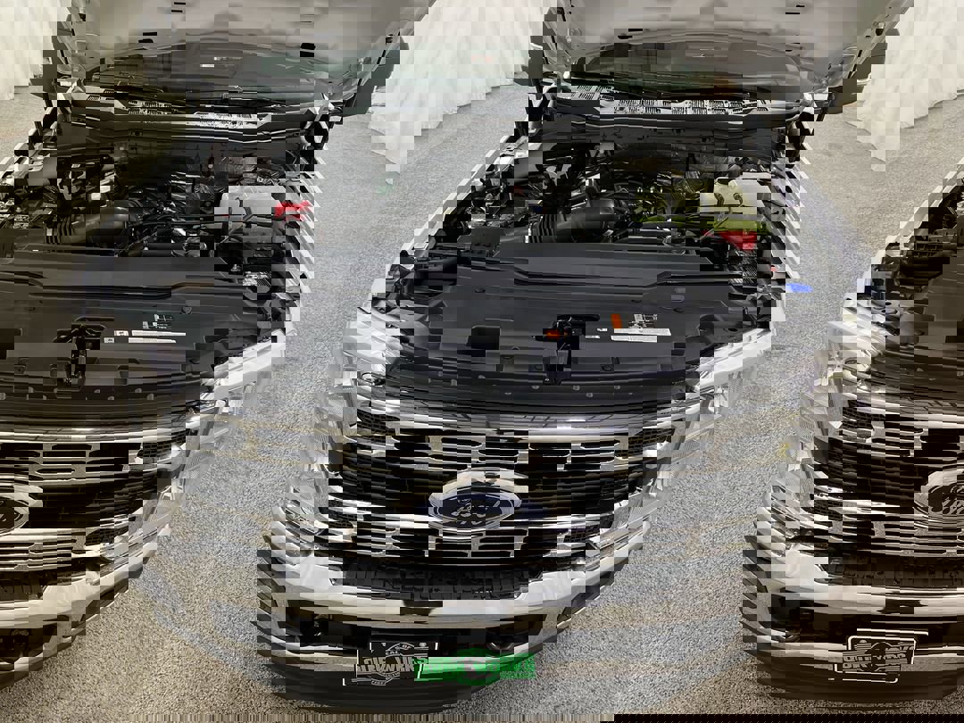 New 2025 OXFORD WHITE Ford XL image 11