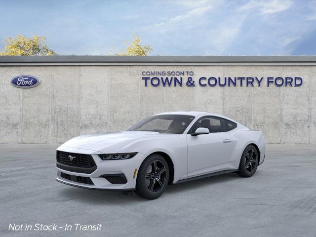 2025 Ford Mustang EcoBoost photo 10