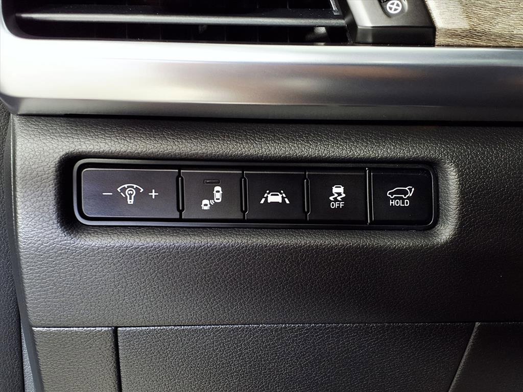 2021 Kia Telluride SX photo 11