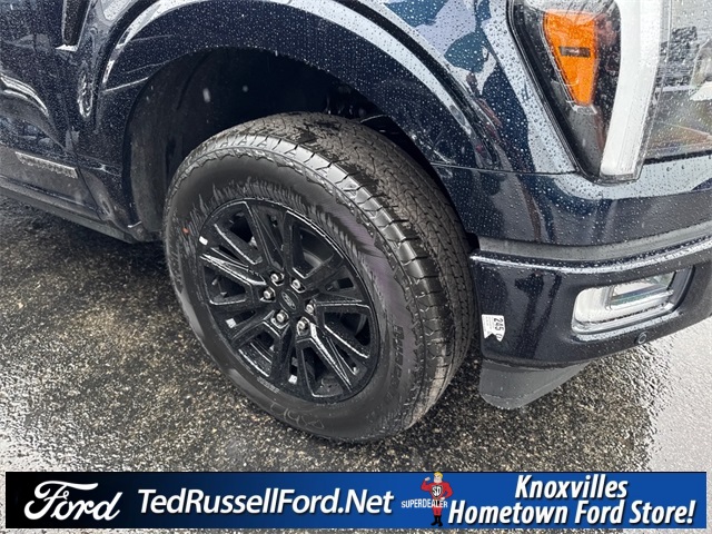 2025 Ford F-150 Platinum photo 4