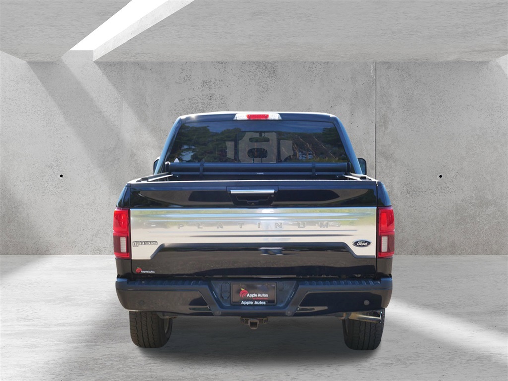 2019 Ford F-150 Platinum photo 5