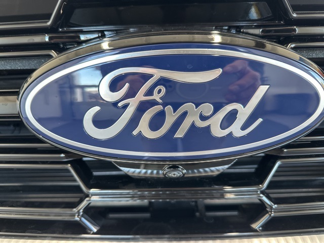 2025 Ford Expedition Platinum photo 2