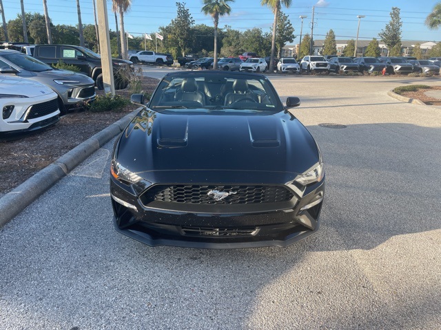 Used 2019 Ford Mustang EcoBoost Premium with VIN 1FATP8UH5K5149751 for sale in Lutz, FL