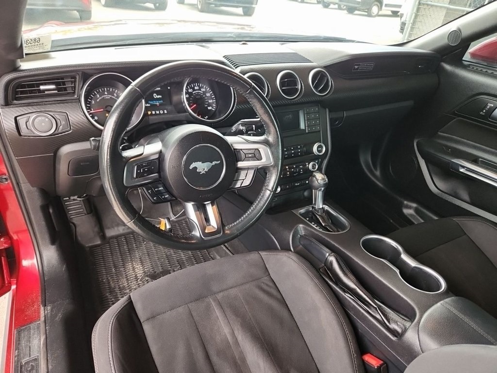 2020 Ford Mustang EcoBoost photo 5