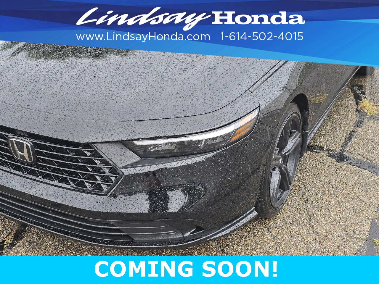 Certified 2023 Honda Accord Hybrid Sport-L with VIN 1HGCY2F79PA033686 for sale in Northfield, Minnesota