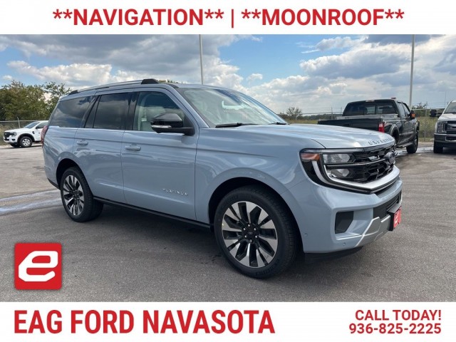 2025 Ford Expedition Platinum's photo