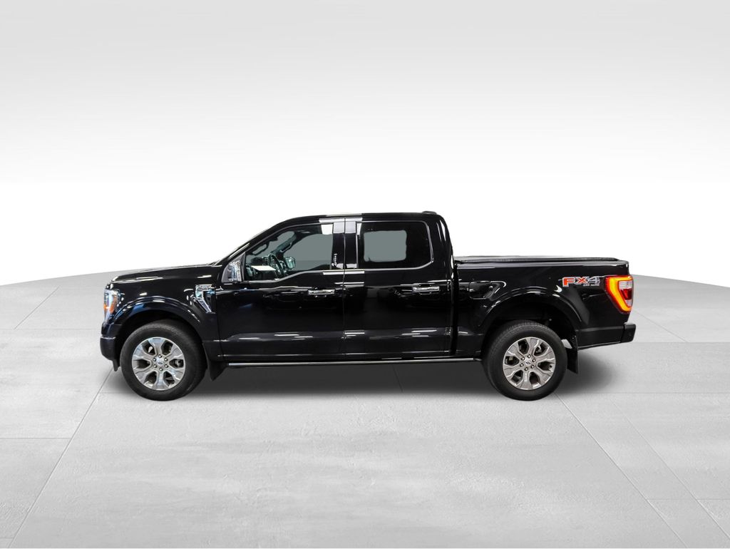 Used 2021 Ford F-150 Platinum with VIN 1FTFW1E81MFB55155 for sale in Minneapolis, Minnesota