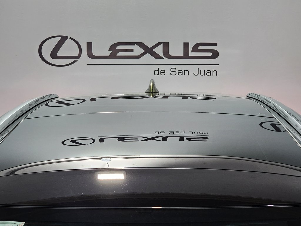 2025 Lexus RX 450h+ Luxury photo 7