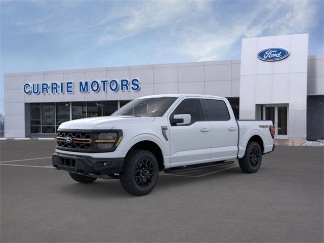 2025 FORD F-150 - Image 31