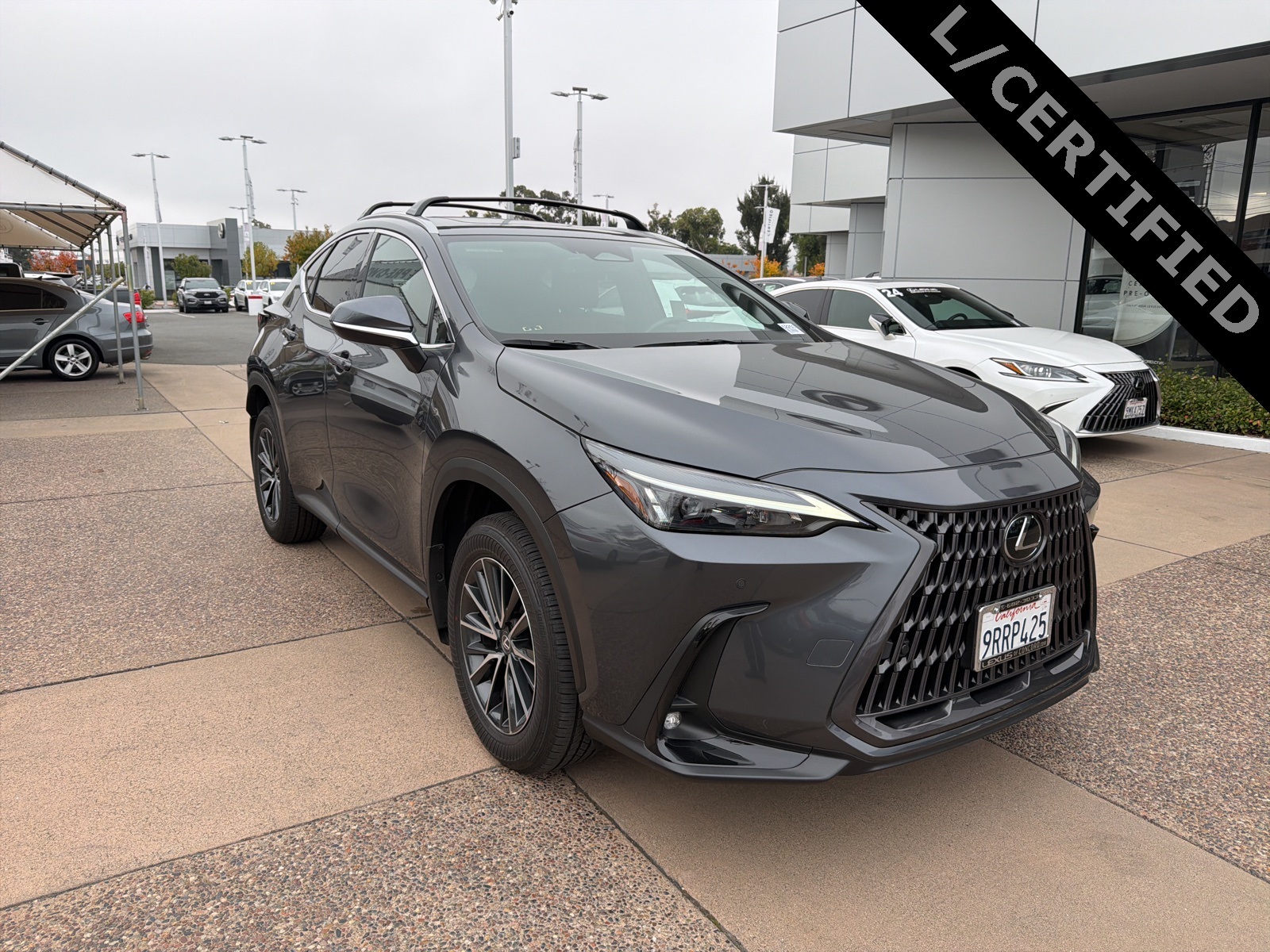 2025 Lexus NX 350's photo