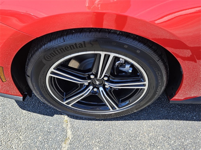 2025 Ford Mustang EcoBoost photo 10