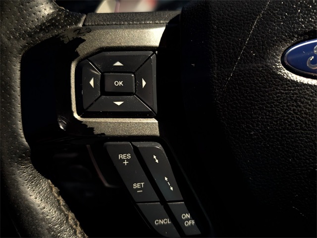2020 Ford F-150 Raptor photo 18