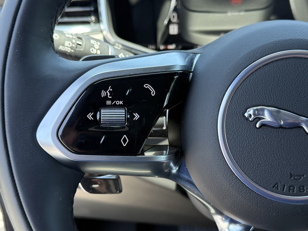 2024 Jaguar F-PACE P400 R-Dynamic S photo 13