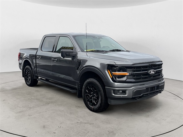 2024 Ford F-150 XLT's photo