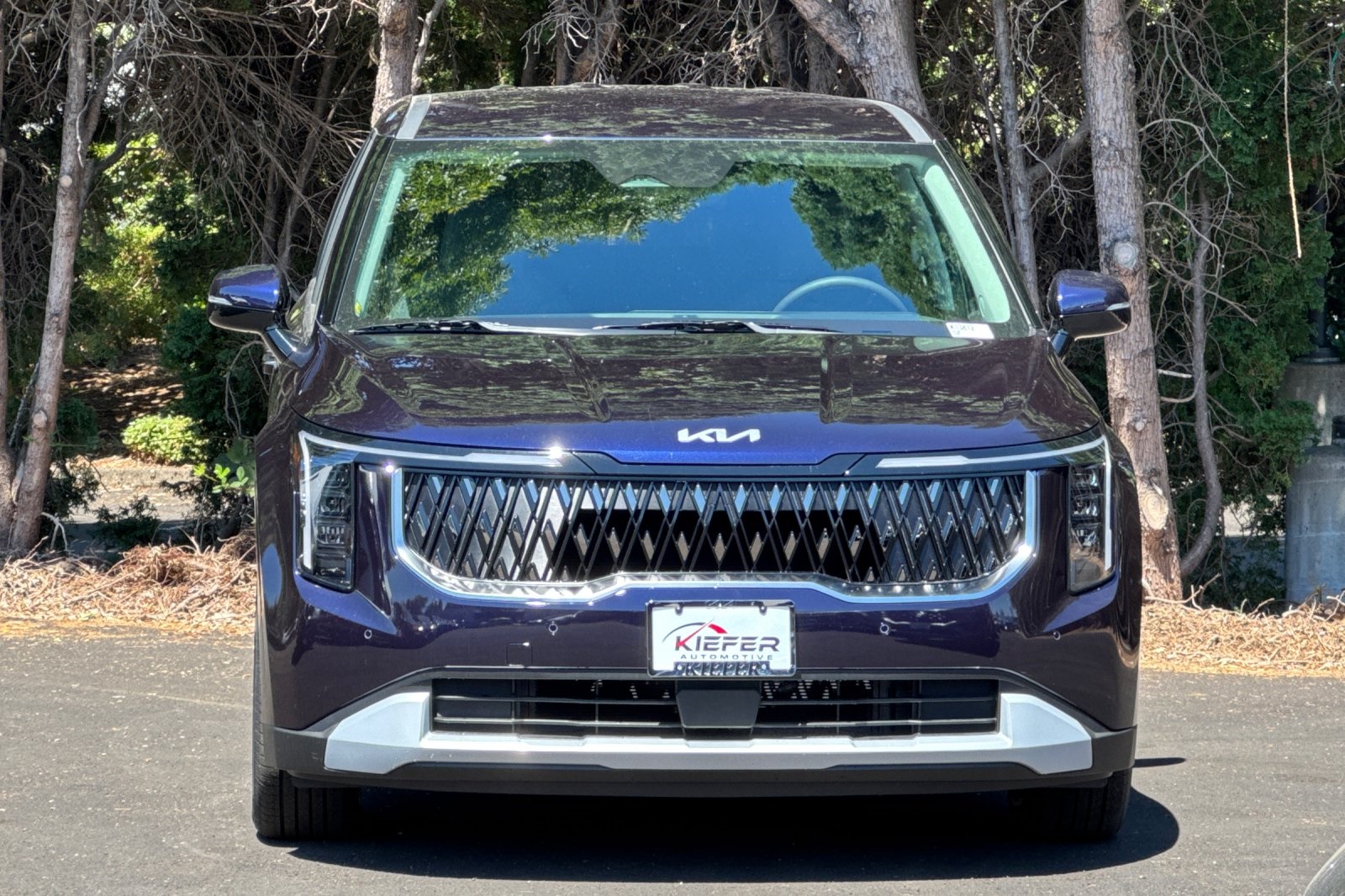 2026 Kia Carnival LX photo 5