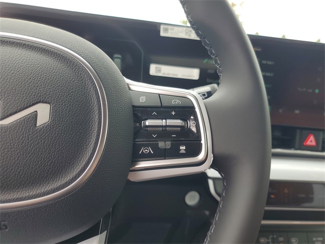 2026 Kia Carnival SX photo 18