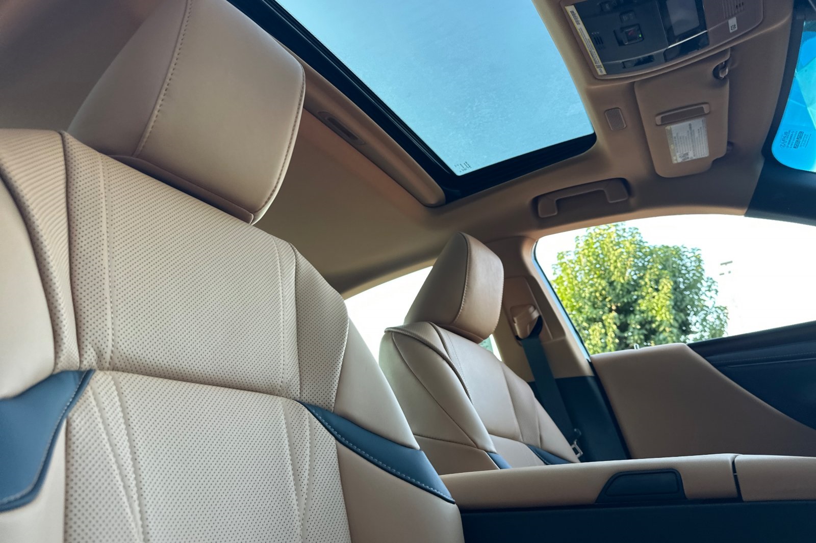 2025 Lexus ES 300h Luxury photo 13