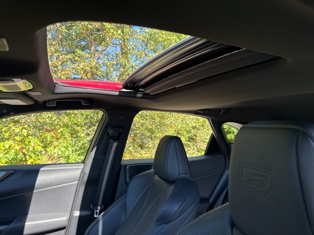 2024 Lexus NX 350 F SPORT Handling photo 10