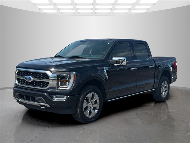 2021 Ford F-150 Platinum photo 3