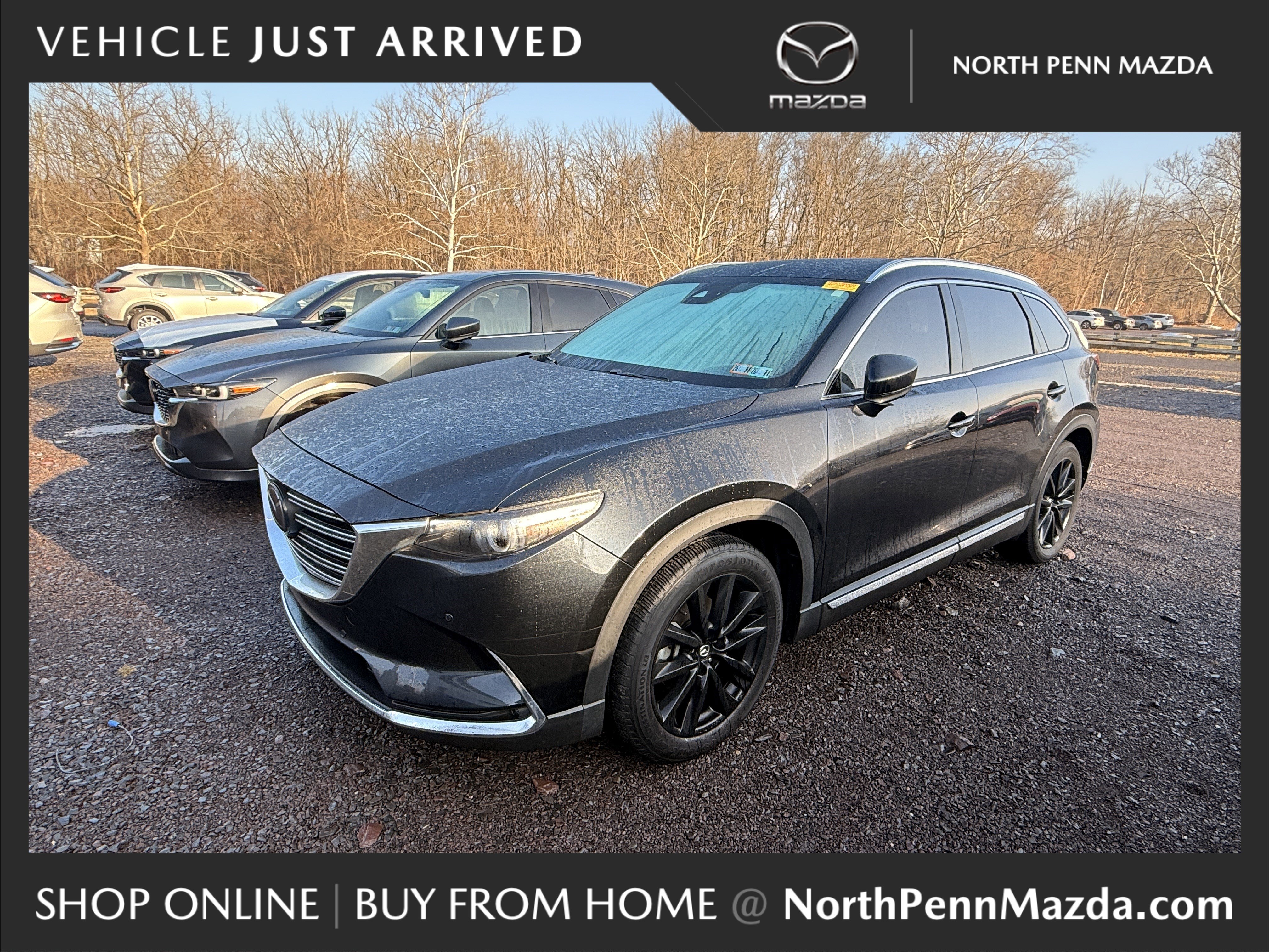 2023 Mazda CX-9 Grand Touring's photo