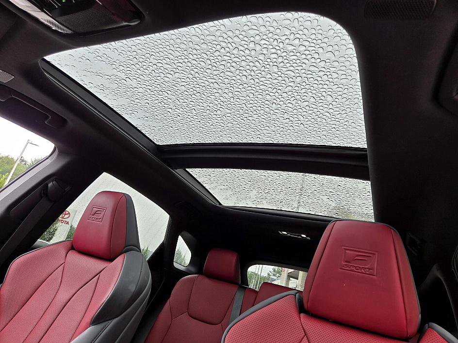 2023 Lexus RX 350 F SPORT Handling photo 10