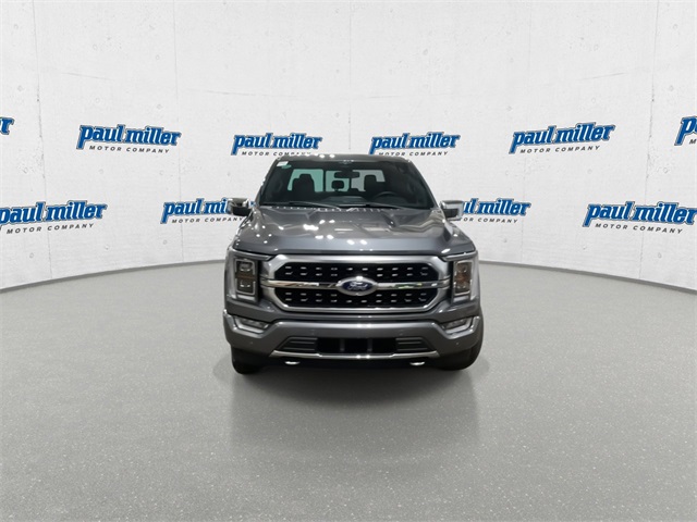2023 Ford F-150 Platinum photo 2