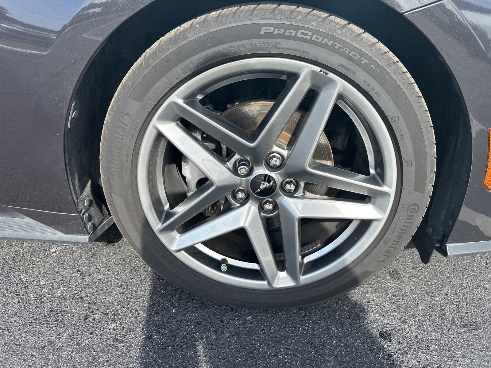 2024 Ford Mustang EcoBoost Premium photo 2
