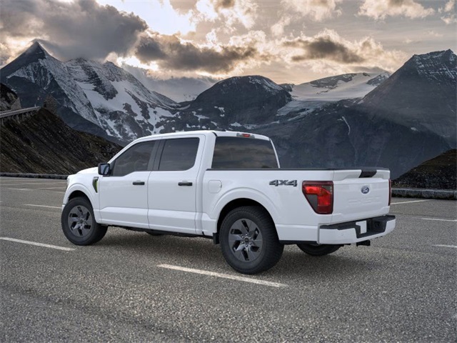 2025 Ford F-150 STX photo 3