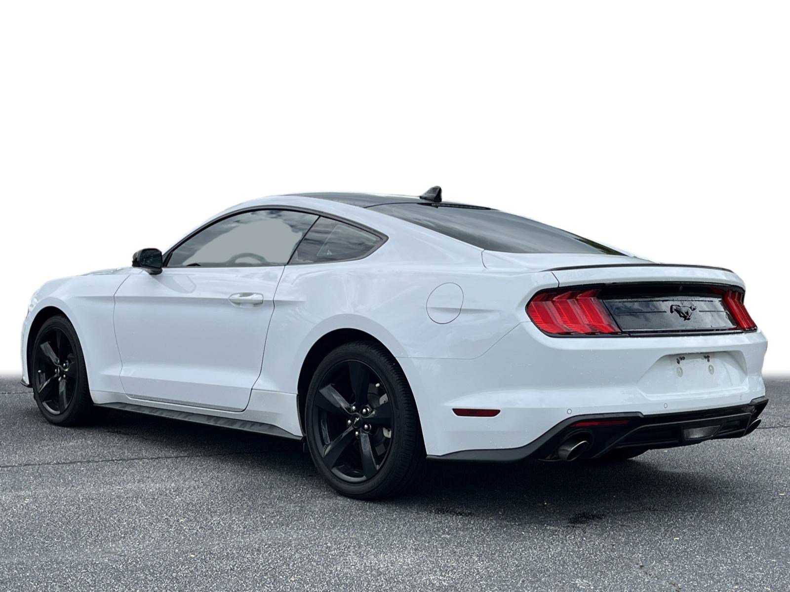 2022 Ford Mustang EcoBoost photo 15