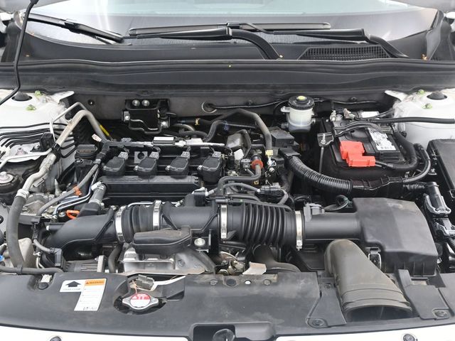 View 29