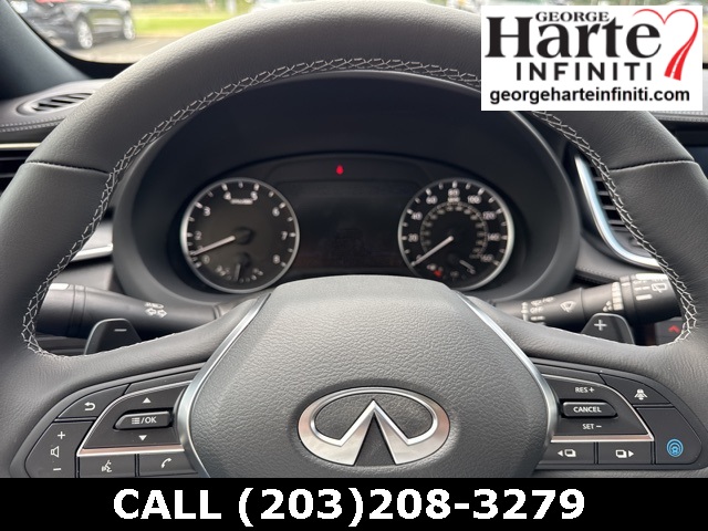 2025 Infiniti QX55 Luxe photo 25