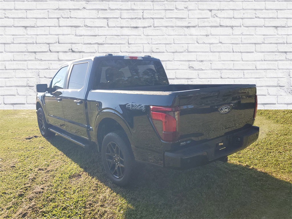 2025 Ford F-150 STX photo 3