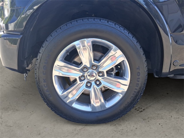 2015 Ford F-150 Platinum photo 13