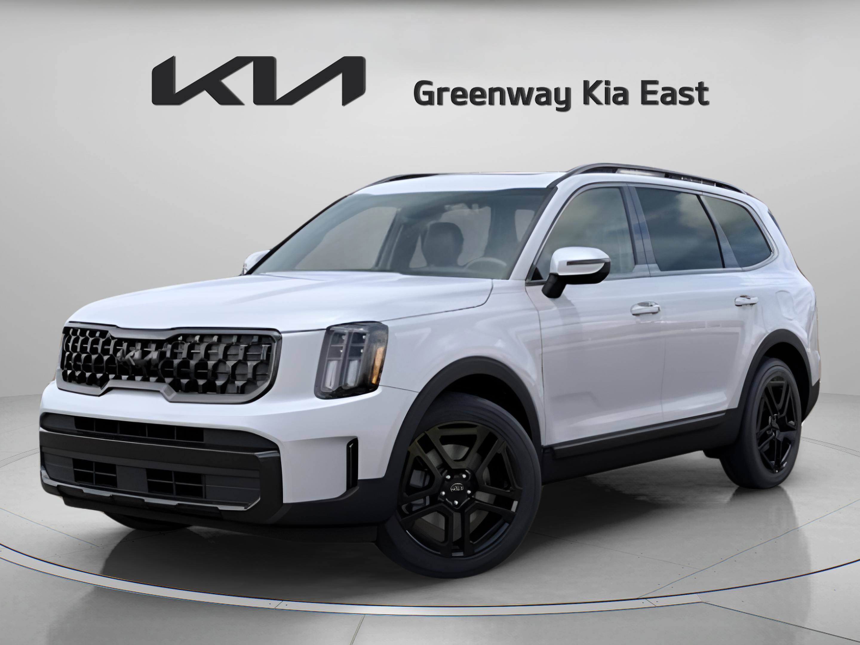 2025 Kia Telluride EX X-Line photo 4