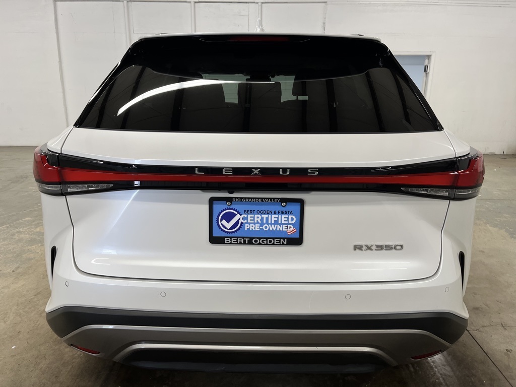 2023 Lexus RX 350 Luxury photo 6